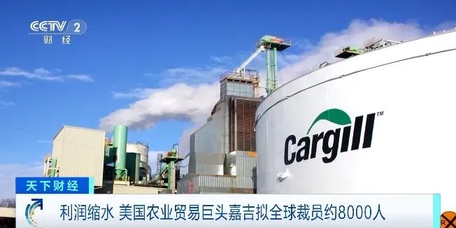 巨头嘉吉年底裁员8000人！四大粮商盈利大缩水！